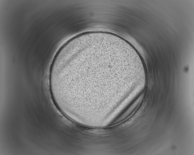 X0000116811388201001081346