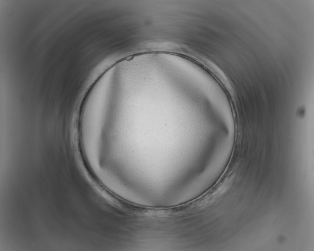 X0000116811389201001081346