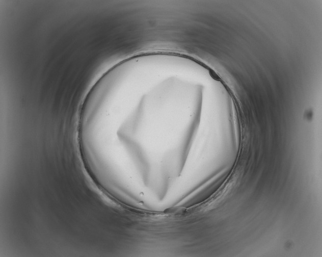 X0000116811390201001081346