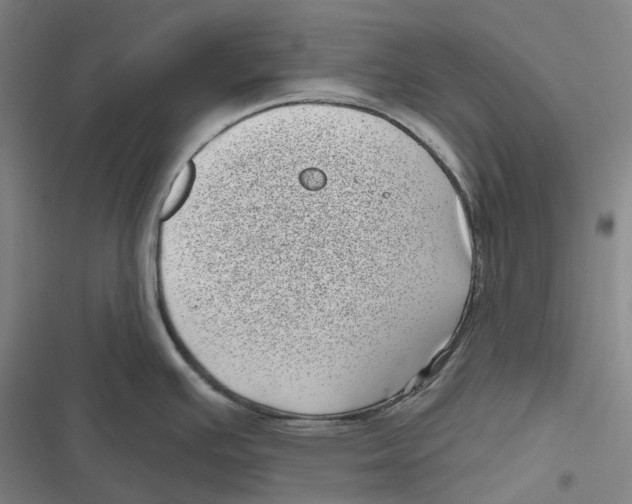 X0000116811391201001081346