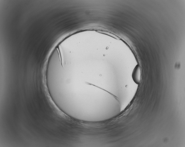 X0000116811392201001081346