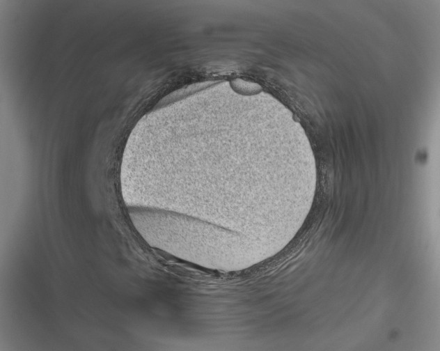 X0000116811393201001081345