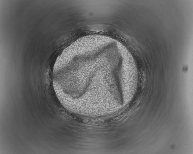 X0000116811394201001081345