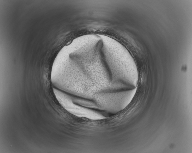 X0000116811396201001081345