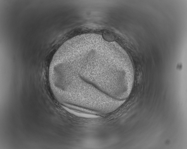 X0000116811397201001081345