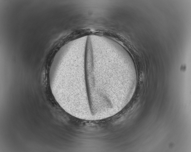 X0000116811398201001081345