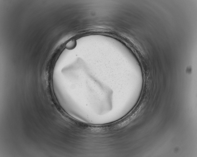 X0000116811402201001081345