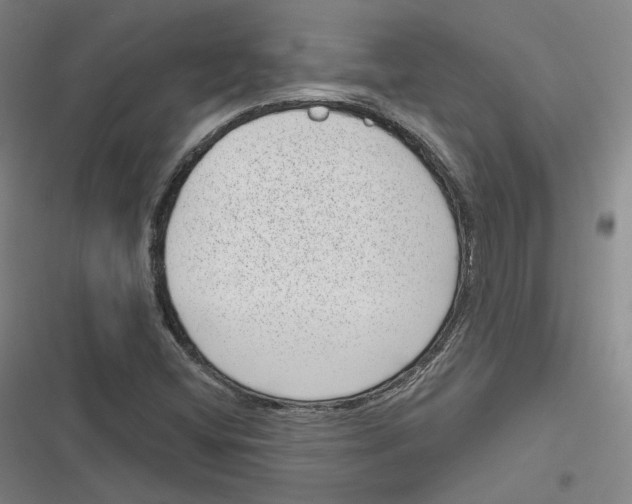 X0000116811404201001081346