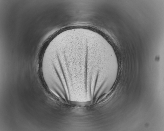 X0000116811406201001081346