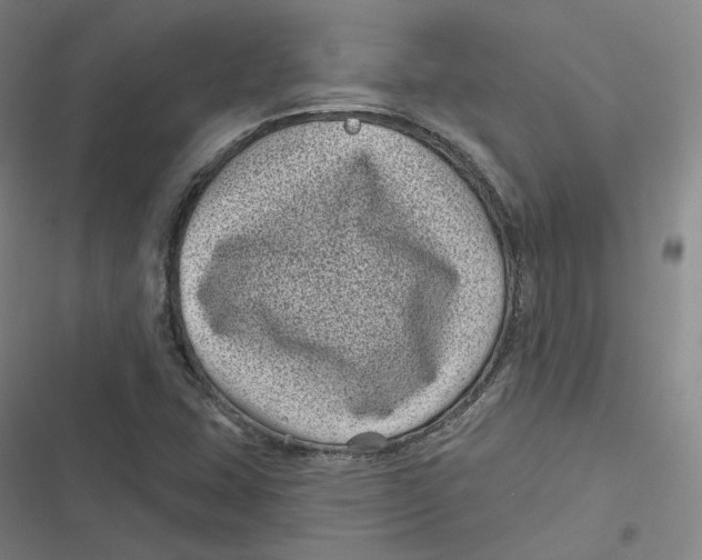 X0000116811407201001081346