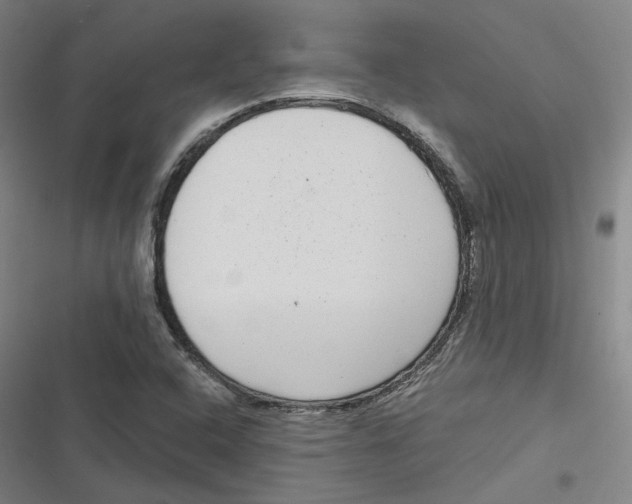 X0000116811408201001081346