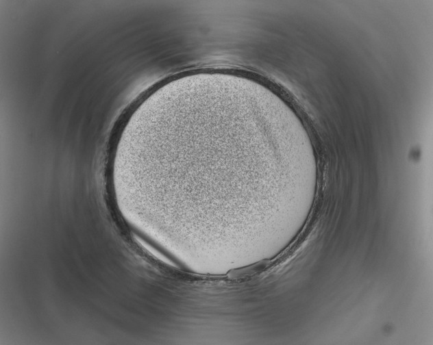 X0000116811410201001081346