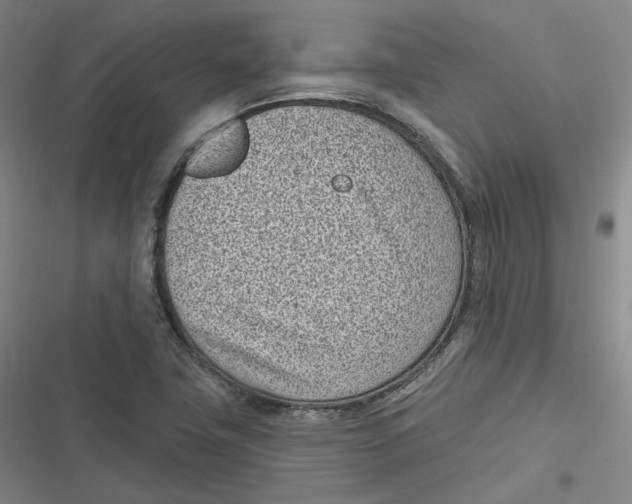 X0000116811411201001081346