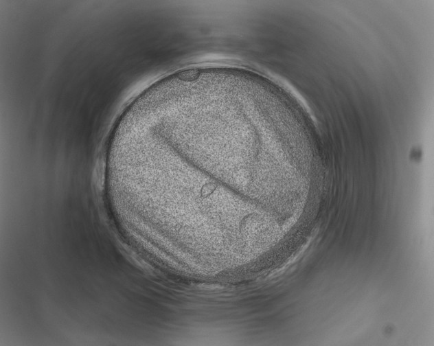 X0000116811413201001081346