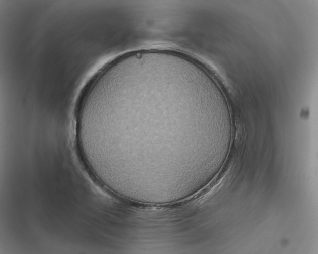 X0000116811414201001081346