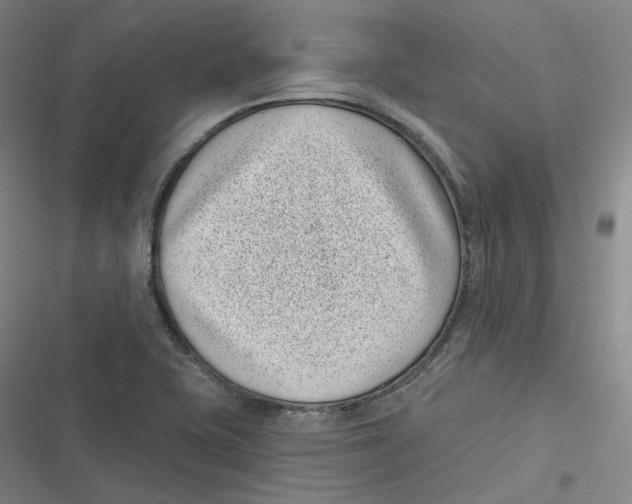 X0000116811415201001081346