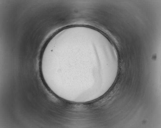 X0000116811416201001081346