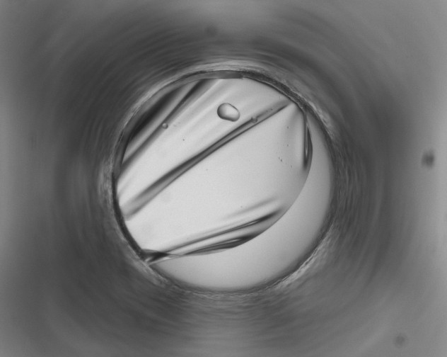 X0000116811417201001081346