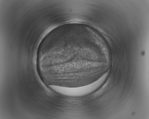 X0000116811418201001081346