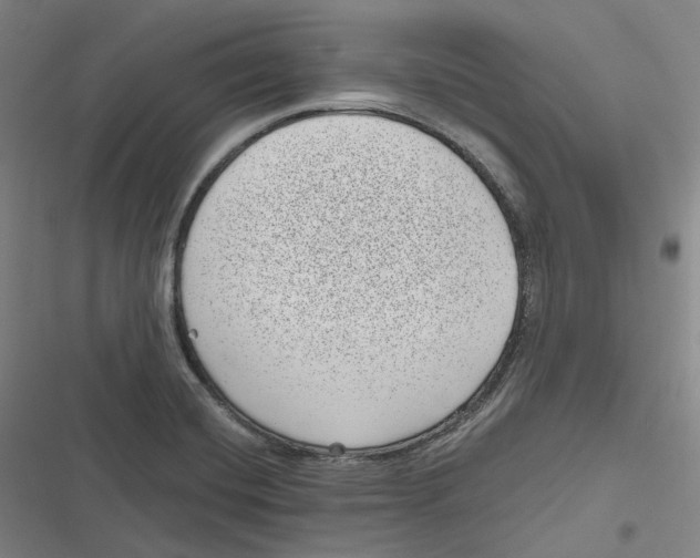 X0000116811420201001081346