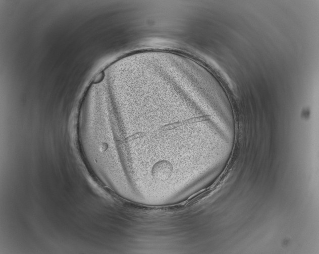 X0000116811421201001081346