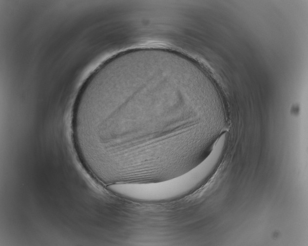 X0000116811422201001081346