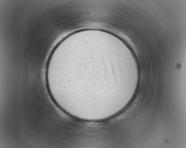 X0000116811424201001081346