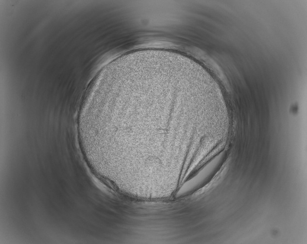 X0000116811425201001081346