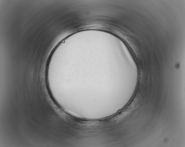 X0000116811426201001081346