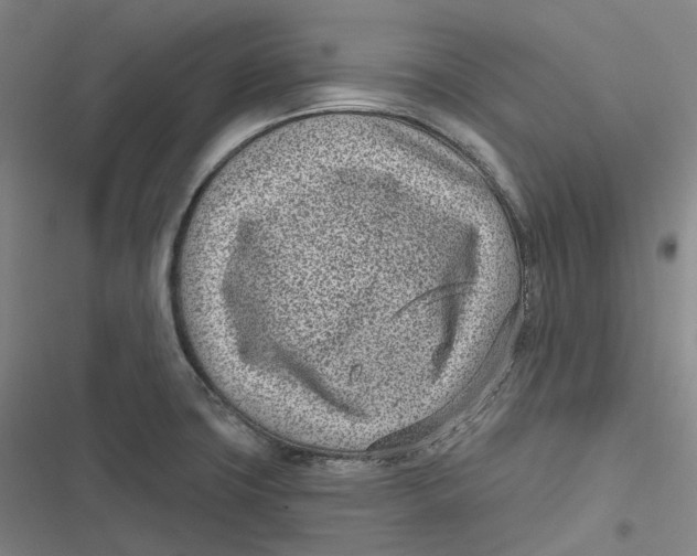 X0000116811427201001081346