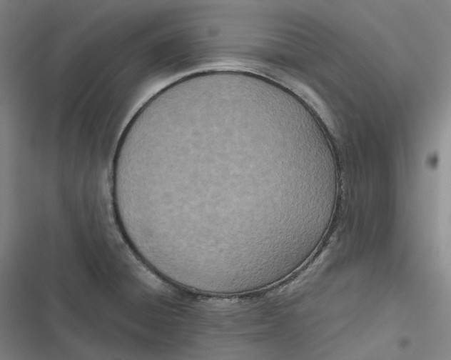 X0000116811428201001081346