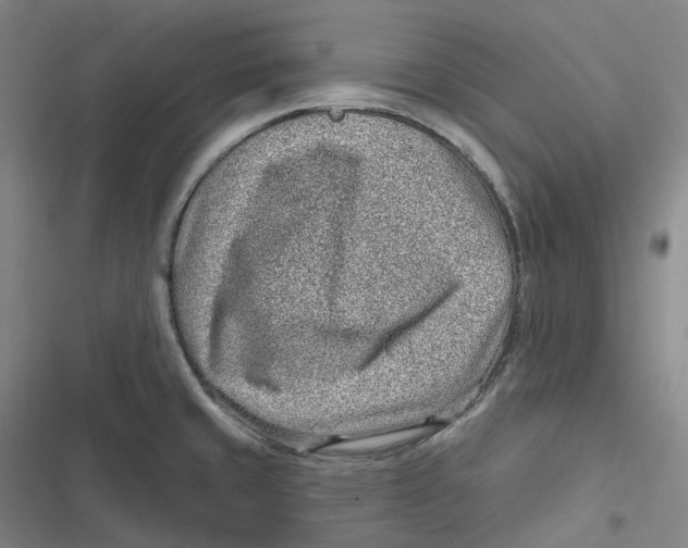 X0000116811429201001081346