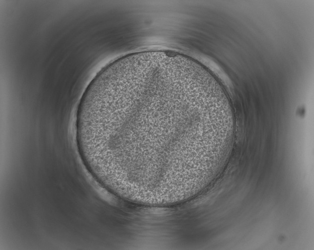 X0000116811431201001081346