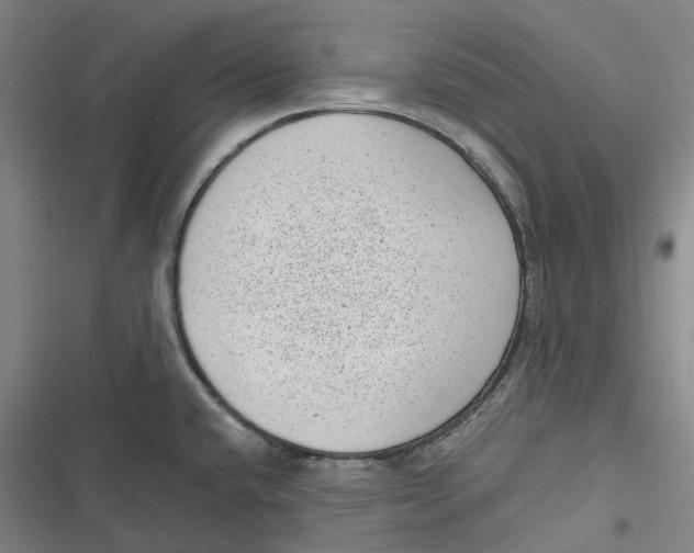 X0000116811432201001081346