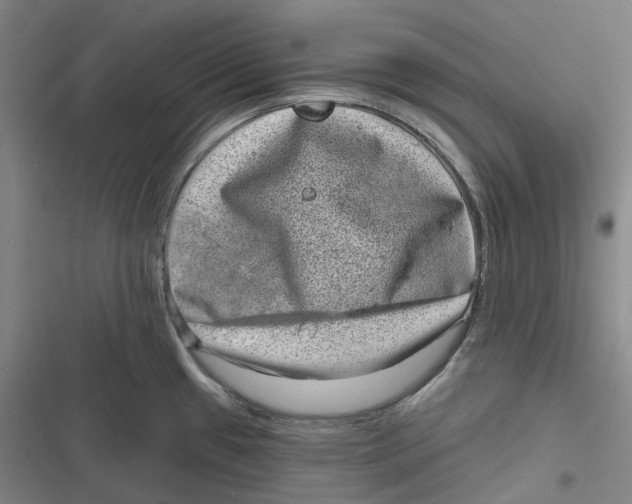 X0000116811433201001081346