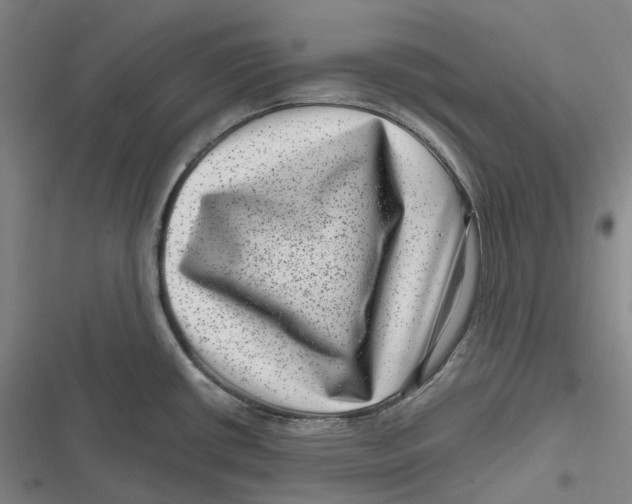 X0000116811434201001081346