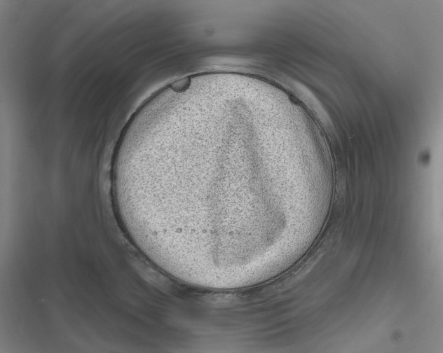 X0000116811435201001081346