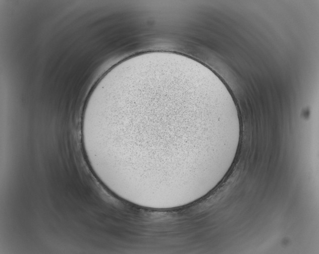 X0000116811436201001081346