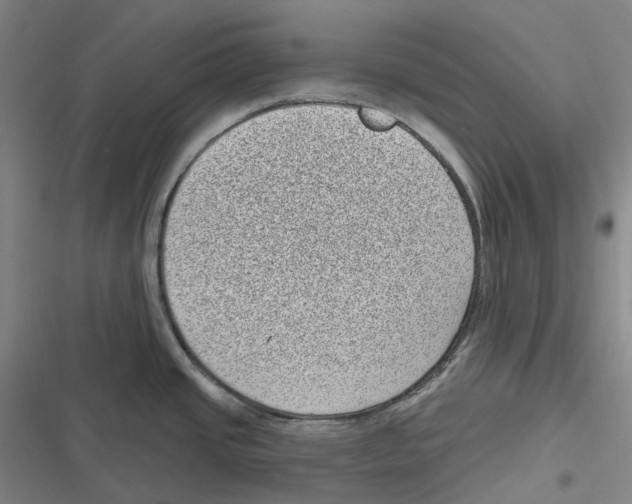 X0000116811437201001081346