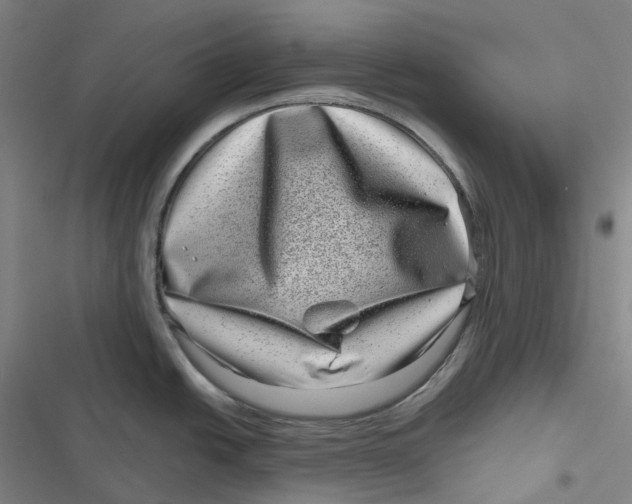 X0000116811438201001081346