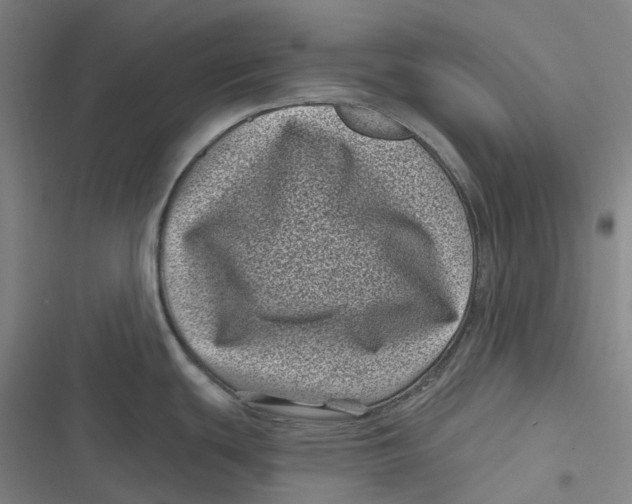 X0000116811439201001081346