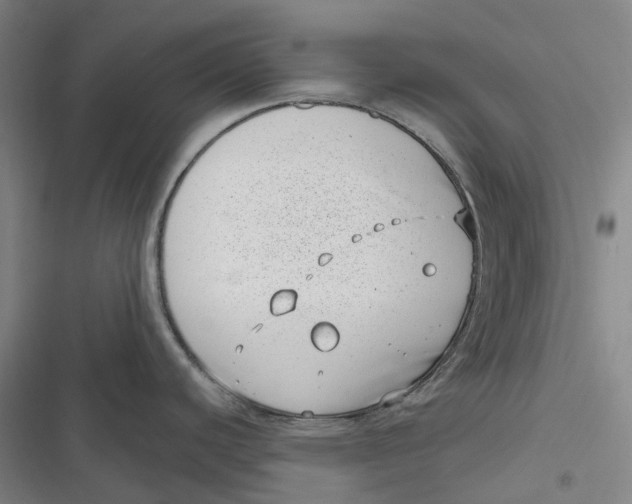 X0000116811440201001081346