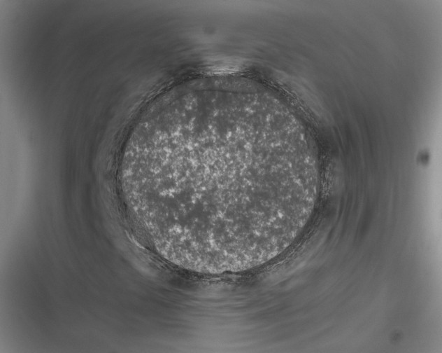 X0000116811441201001081345