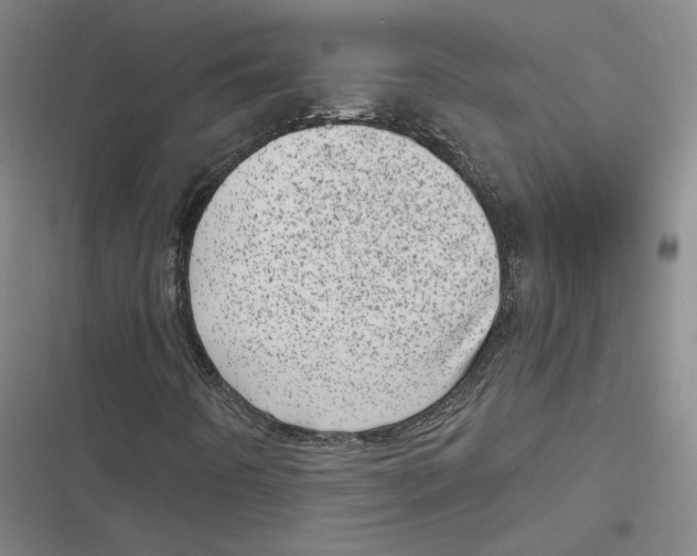 X0000116811442201001081345