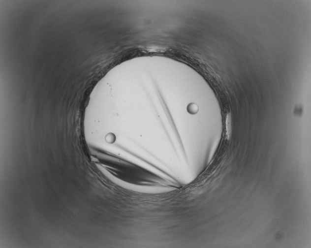 X0000116811443201001081345