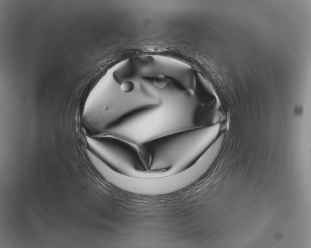 X0000116811444201001081345