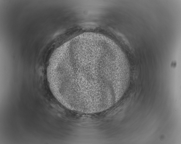 X0000116811445201001081345