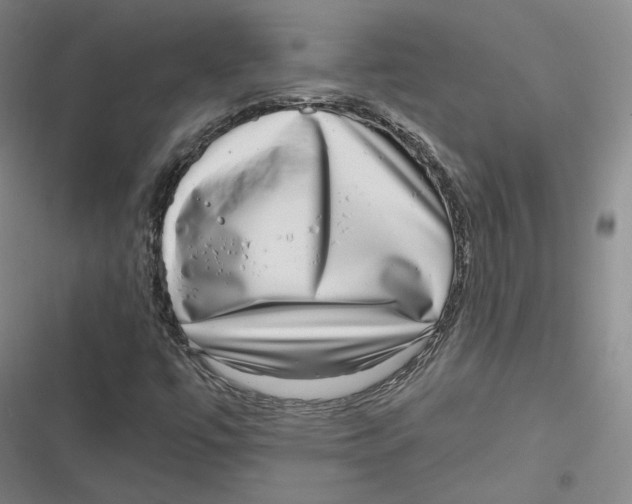 X0000116811447201001081345