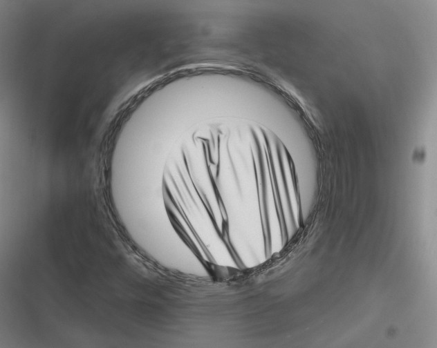 X0000116811448201001081345