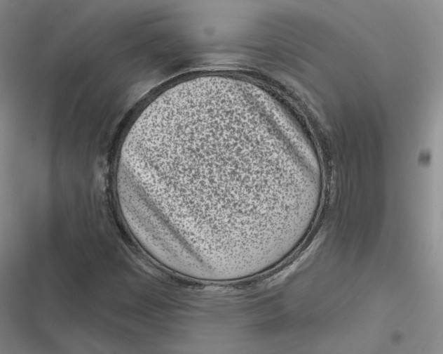 X0000116811449201001081345